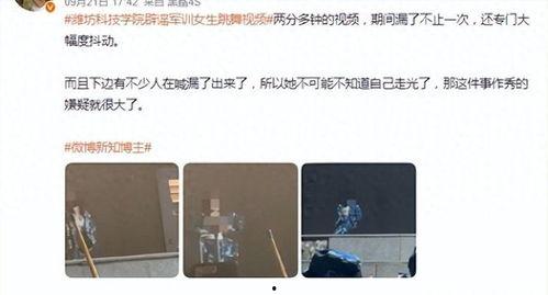 潍坊爆料原版视频免费,原版视频免费观看，揭秘事件真相