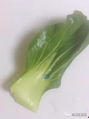 网友爆料小白菜视频大全,揭秘小白菜视频大全背后的真相