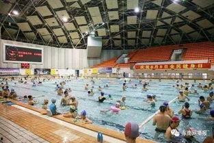 丰都体育馆爆料案件最新,真相大白，疑云散去！