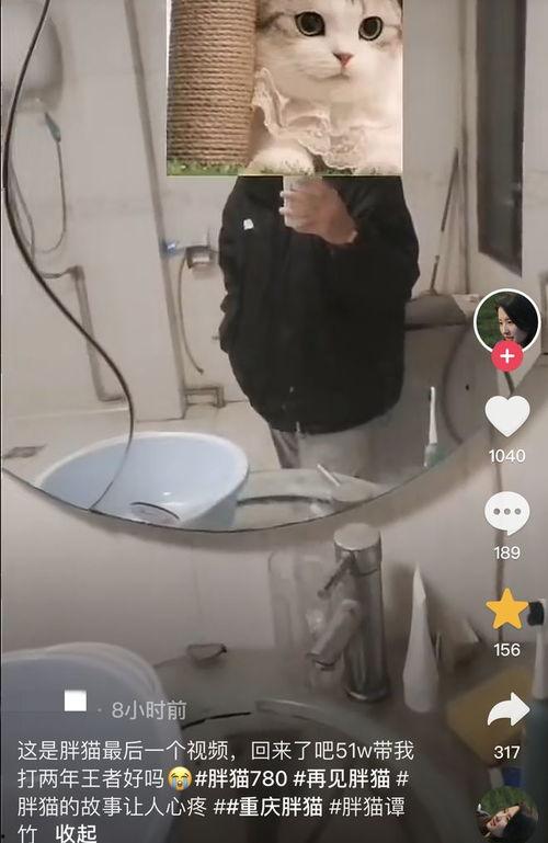 胖猫最新爆料视频