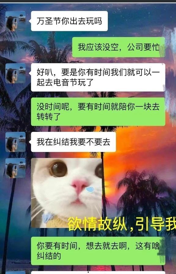胖猫最新爆料视频