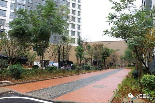 高邮银河湾小区最新爆料,揭秘神秘事件背后的真相