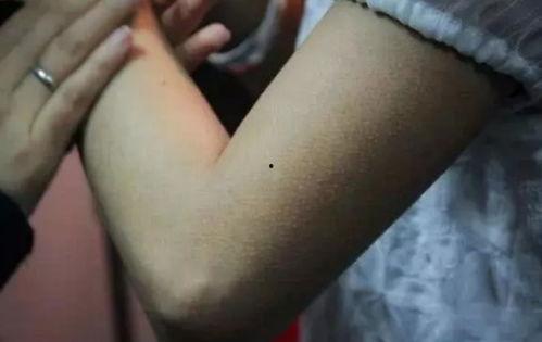 吃鸡皮肤爆料看谁的视频,热门主播视频大揭秘