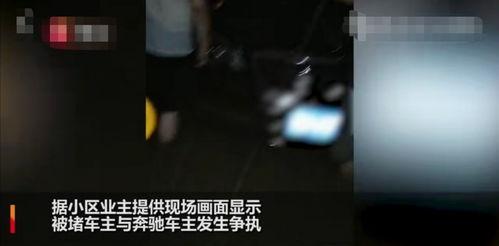暴雨车库爆料视频播放,视频播放引发网友热议
