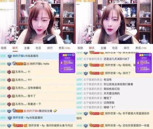 女主播深夜爆料视频大全,揭秘娱乐圈不为人知的秘密