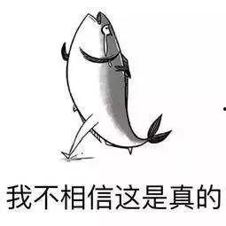 网友爆料咸鱼视频大全集,网友爆料，揭秘热门短视频背后的故事