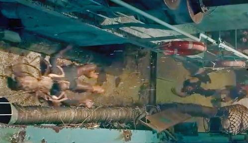 在线观看食人虫,在线惊悚之旅，揭秘致命昆虫的恐怖世界