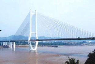 泰安大桥爆料最新消息,揭秘工程进度与亮点揭晓