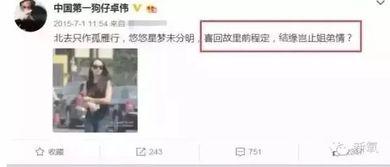 卓伟爆料过宋茜吗视频,揭秘宋茜幕后真相