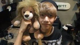 泰宫在线观看,宫廷权谋与爱恨交织的传奇