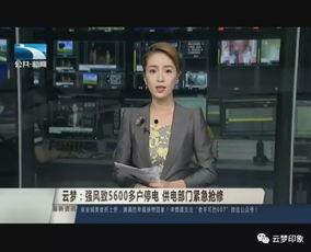 云梦在线爆料新闻网,最新热点事件深度解析