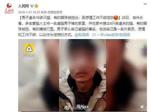 爆料广西高校视频,揭秘校园生活背后的真实面貌