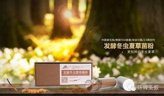 冬夏在线观看,跨越时空的温暖邂逅