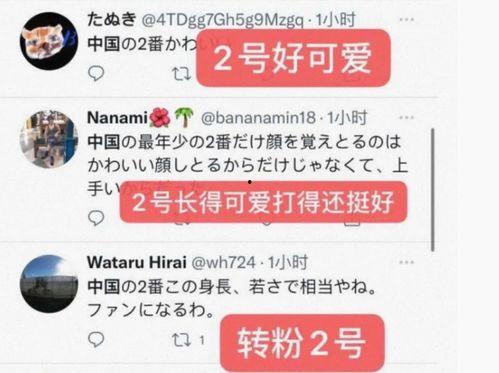 山东卫视 爆料新闻事件,重大新闻事件引发社会关注