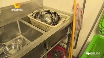 爆料厨房视频,跟随爆料视频一探究竟