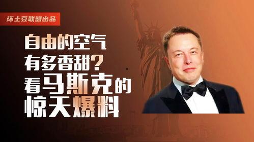 马斯克的惊天爆料视频,揭秘科技巨头背后惊人真相
