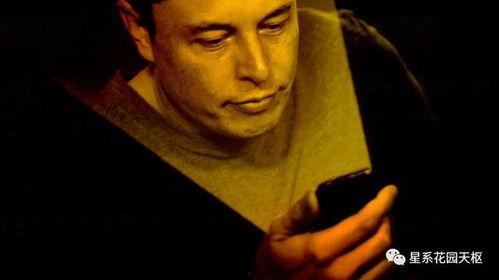 马斯克的惊天爆料视频,揭秘科技巨头背后惊人真相