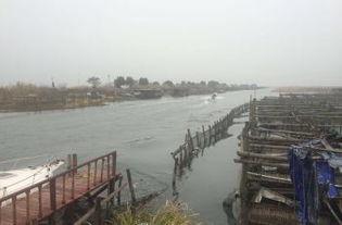 三板溪生态渔村最新爆料,绿色生活新风尚，生态旅游新亮点”