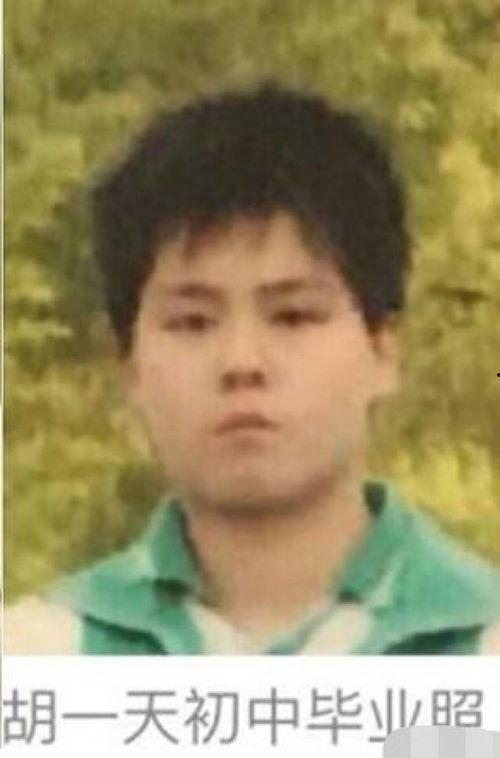 小胖解说爆料最新消息视频