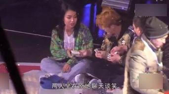 春节爆料视频大全集最新,精彩瞬间回顾，年度盛宴精彩重现