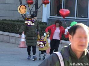 春节爆料视频大全集最新,精彩瞬间回顾，年度盛宴精彩重现