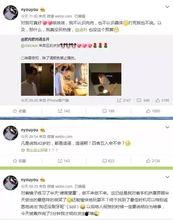 美国科学院爆料视频大全,独家爆料视频大全深度解析