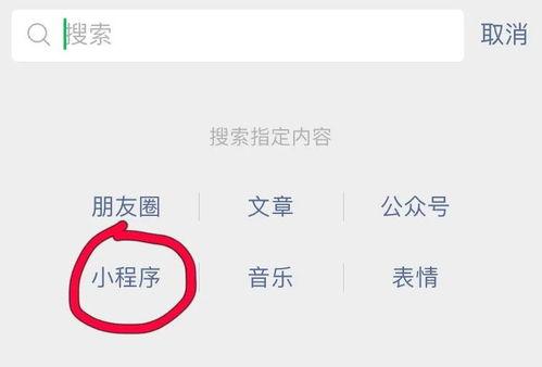 今日最新爆料小程序