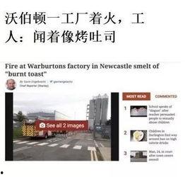 外网最新爆料新闻报道,揭秘外网最新热点事件内幕