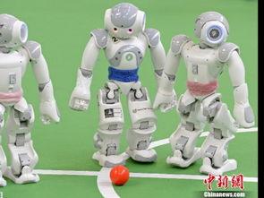 乐高精品爆料视频大全,精彩瞬间尽收眼底