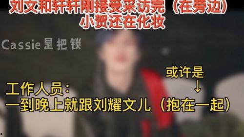 文轩真实爆料视频大全最新,最新爆料视频大盘点