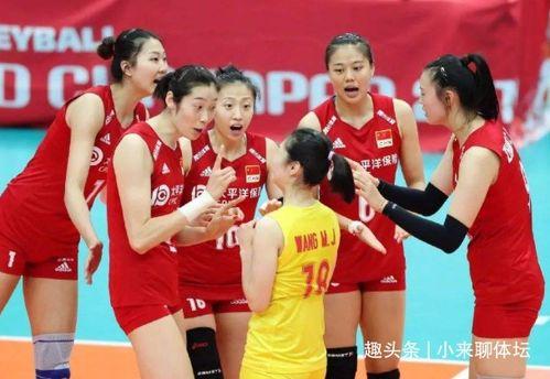 集训爆料女排队员视频下载,汗水铸就辉煌瞬间