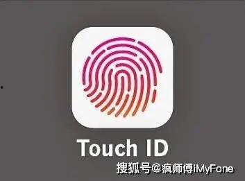 se3最新官网爆料,官网爆料揭示革命性技术突破与未来展望