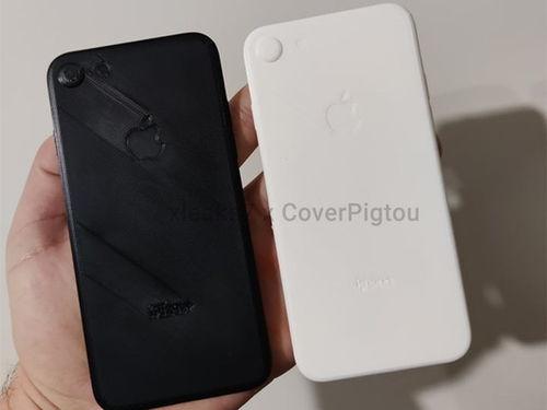 se3最新官网爆料,官网爆料揭示革命性技术突破与未来展望